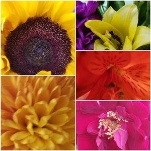 Meet your Posher, Sandy